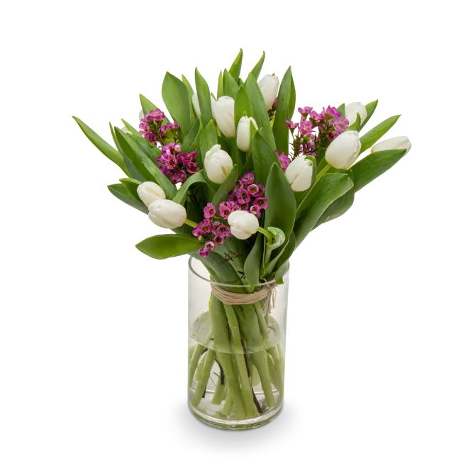 Bouquet of white tulips